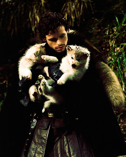 Robb Stark Tumblr_m7wh20iEYv1rx143so1_500