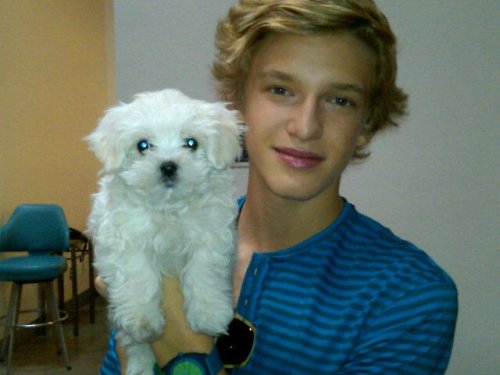 Cody Simpson.[2] - Page 12 Tumblr_m844vcp8171r60zb2o1_500