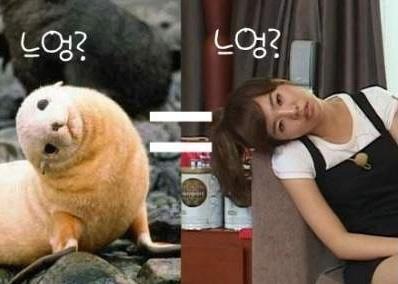 [PIC] Sunny: I see no different, yeah =)) Tumblr_m882no4zMf1raxx08o1_400