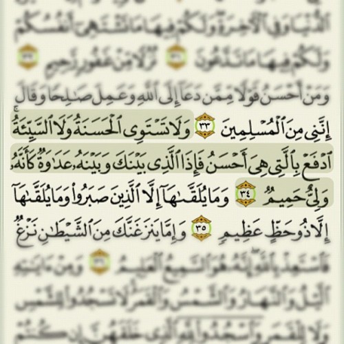 مدؤنةةُ مميزههً ▪ღღألڪْۉטּ مـٍטּ دۉטּـي « مـٍشڪْڸًـ?ً ღღ▪ - صفحة 31 Tumblr_m8rb0k9Fvm1r02l19o1_500