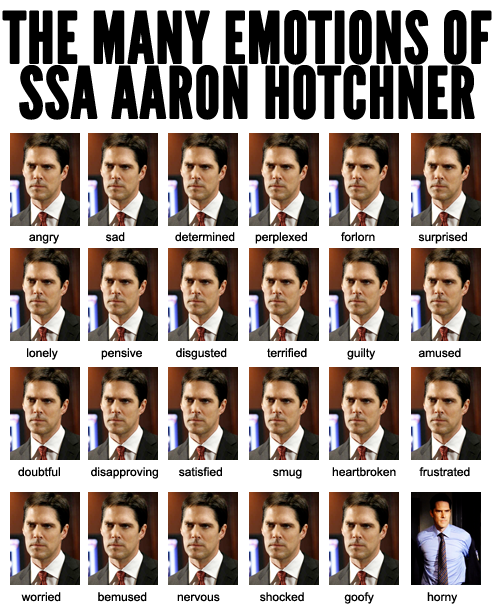 Aaron Hotchner - Page 24 Tumblr_m9iy35p1051qlk4dfo1_500