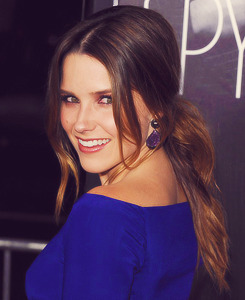 Sophia Bush        Tumblr_m9omt7aK5g1r6ws4po2_r1_250