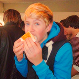 Niall Horan  Tumblr_mb4dujlGzL1rw9dhoo5_250