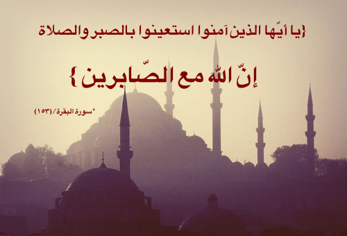 رسالة تدبر  - صفحة 5 Tumblr_mbopghSyyQ1rcz8bjo1_500