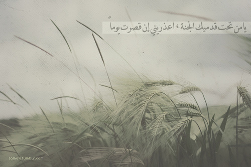 ¤¦[ سجل دخولك بصورة على ذوقكـ ]¦¤ - صفحة 9 Tumblr_md8bqlMIvr1r9m6a1o1_500