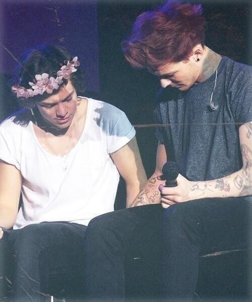 Flower - Punk - Larry Stylinson Tumblr_mmeceyUbI11snq6lxo1_500