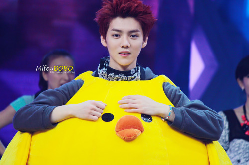 [FANTAKEN] 130604 EXO @ Happy Camp [31P] Tumblr_mpuz677Odu1ralgblo1_500