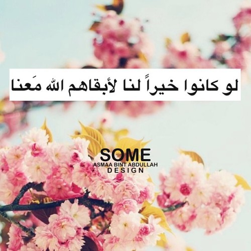 اكتب أي شيء - صفحة 3 Tumblr_mjo3c5LAMM1r6fbrlo1_500