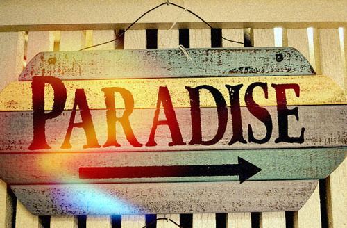 ♥★One day... PARADISE ★♥ - Página 4 Tumblr_mjj2sa4sbg1rf9f43o1_500