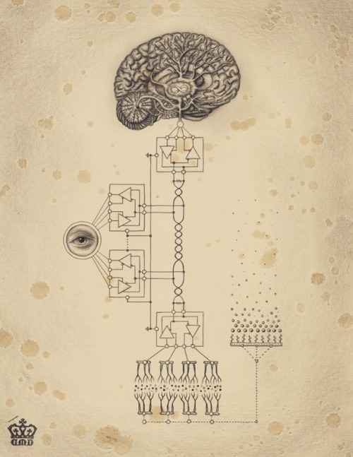  Le début de tout le reste ... livre IV - Page 6 Tumblr_mojvrsPWo01r1w416o2_500