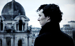 Sherlock - BBC [2] - Page 37 Tumblr_msgpllhIWE1s5h4rro7_250