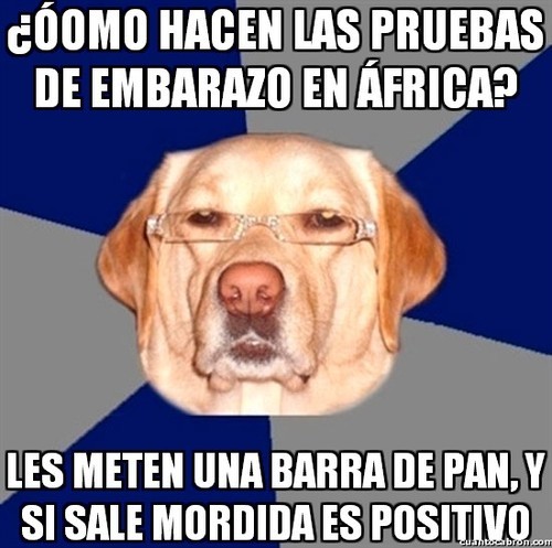 Humor negro - Página 4 Tumblr_msvep7ixnW1rxpytqo1_500