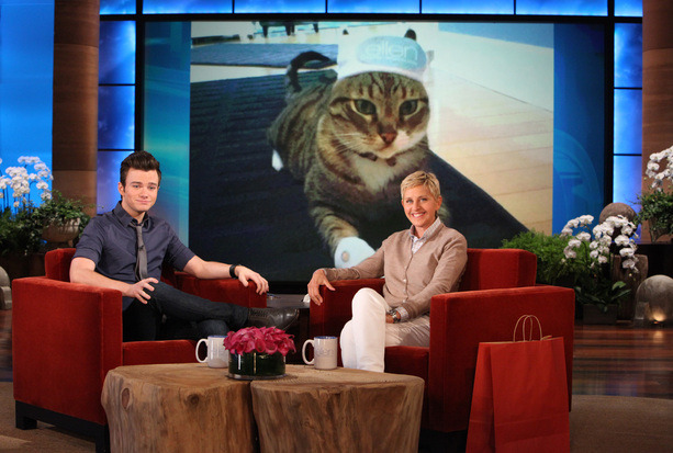 Chris on Ellen Tumblr_mm7ywuwzs11rk63wco2_1280