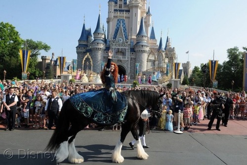 Merida officiellement Disney Princesse en 2013 - Page 7 Tumblr_mmnghkOo3f1so6xf7o2_500