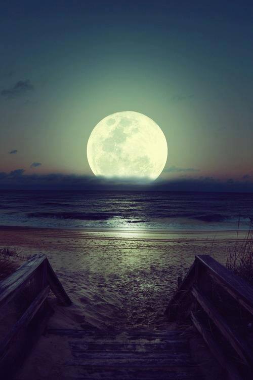 lunas -  -LUNAS-MOONLIGHT - Página 37 Tumblr_mpp05oM9Su1rqnvaoo1_500