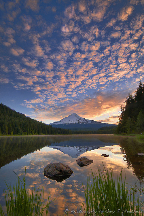 PLANETA  AGUA ..... - Página 23 Tumblr_mxcwkaSmnm1s4uwt4o1_r1_500