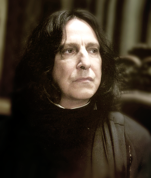Fan Club de Severus Snape (Ou Rogue en Français) - Page 16 Tumblr_lgi31h3gnI1qd8o25o1_500