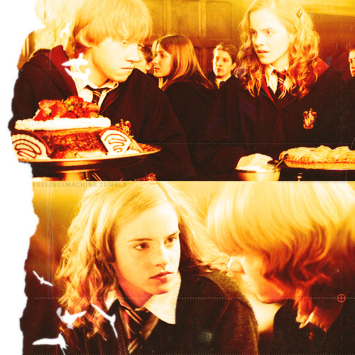 Fan Club de Ron & Hermione - Page 28 Tumblr_likvd1AlbP1qeqwq8o1_500