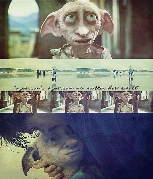 Fan Club de Dobby, elfe libre - Page 6 Tumblr_ljf3jh4RHm1qaa00bo1_500