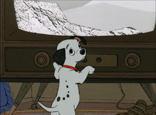 101 Dalmatians. - Page 2 Tumblr_lnqk8acghh1qlxcxco1_500