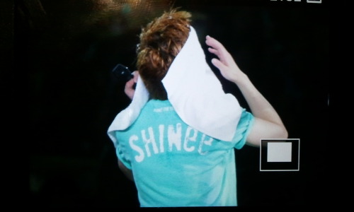 110716 SHINee First Concert in Taiwan - Página 2 Tumblr_lofjibFwMA1qdpedeo1_500