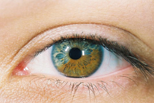 what's the color of your iris? - Page 2 Tumblr_lpjjgcE6Er1qkr3tvo1_500