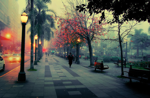 Улицата до парка. Tumblr_lqv5232rbQ1qha7b4o1_500