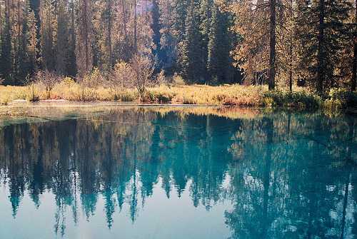 Lago del Bosque ~ Tumblr_lrj2amkQoZ1qi23vmo1_500