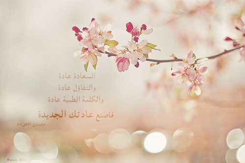 وَ الروَحُ بِلا رحمْتِكَ ياربَيّ تضَيييييييقّ ♥ »  - صفحة 13 Tumblr_lt9ornWYsM1qdrs6do1_500