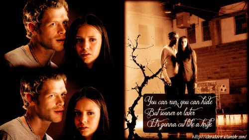 Klaus & Elena Tumblr_ltfp92yy7V1r41qt6o1_500