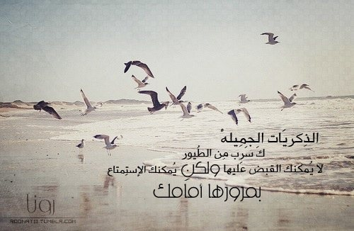   ᴥ ٱلليـﮯ يبـζـث ؏ـن خفـﮯ ٱلنٱڛ لٱ يبـζـث خفٱيـﮯ ᴥ Tumblr_lwamellqVx1qmjs65o1_500