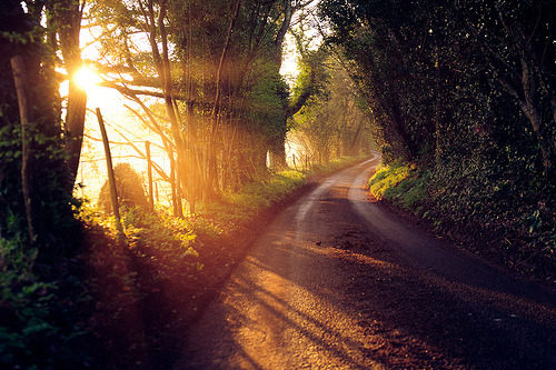 Camino hacia la Playa ~ Tumblr_m1yzjixnU81qm6onko1_500