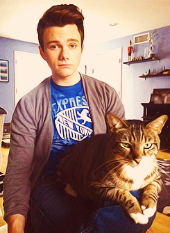 Chris and Brian Colfer Tumblr_m40tib49oD1qb9956o1_r2_250