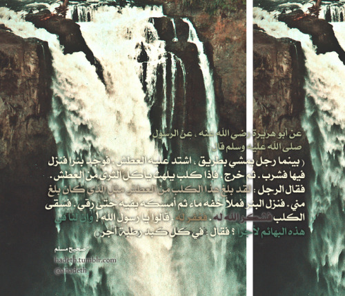 حملة1000 رد - صفحة 5 Tumblr_m40vi6EV6y1qa0em7o1_500