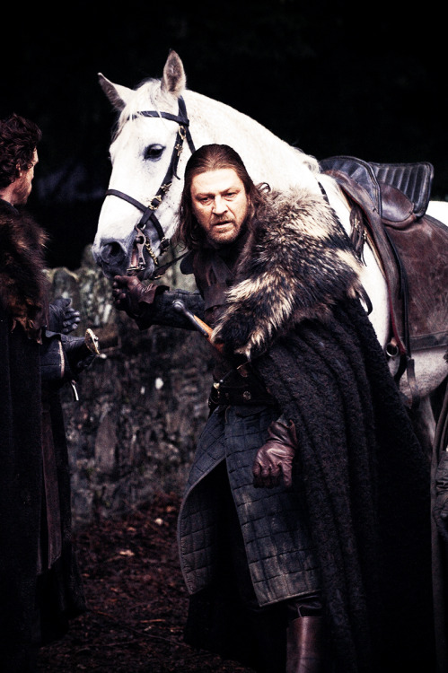 Eddard Stark Tumblr_m4y775dW4m1r4t36wo1_500