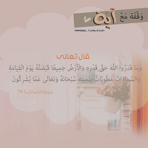  همسة ولمسة " مامعنى : الفتيل ؟؟ / وما قدروا الله حق قدره ؟؟ Tumblr_m5nwqiKp8w1qf81hco1_500