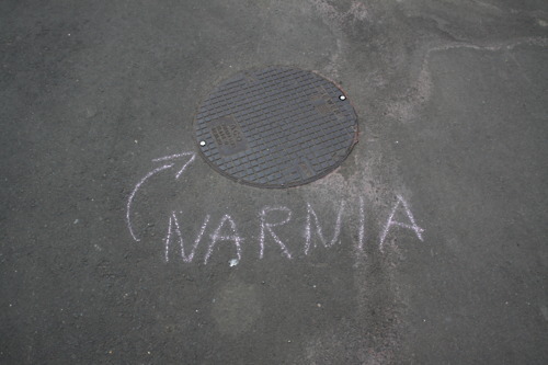 Narnia. Pati sau faina. Tumblr_m61nligKRh1r1tvggo1_500