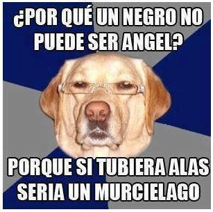 Humor negro - Página 2 Tumblr_m69sx3oLLz1ro4mcpo1_400