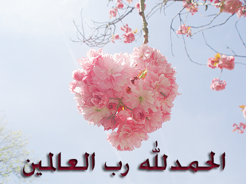 مـآ فيـہَ بـ ~ قڷوب ~آڷبشـر [♥ ] مضـمـوטּ !  - صفحة 26 Tumblr_m6zw8yXieC1rq1p98o1_500