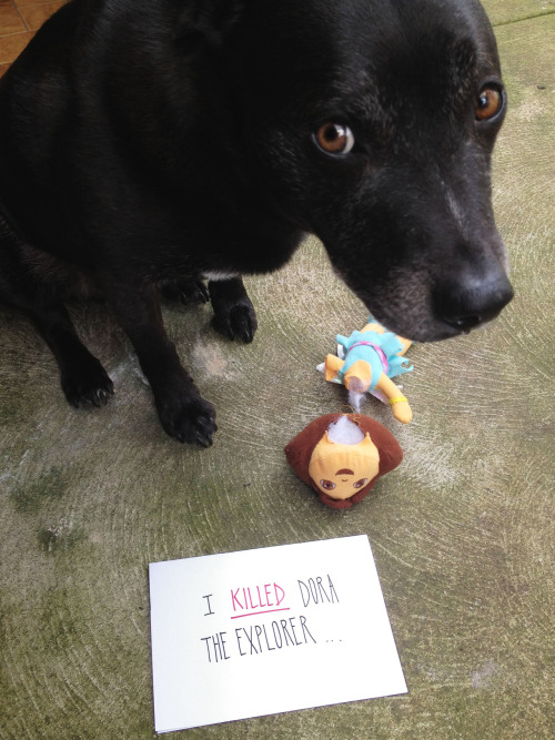 Dog Shaming.com: les chiens de la honte Tumblr_m9e86x4qGo1re4ne0o1_500