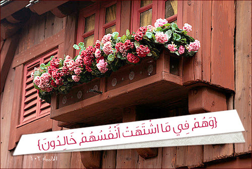 	˙·•ღ✿*´•·.·´فيـ داخليـ طفلة تعشق الضحك `·.·•`*✿ღ•·˙   - صفحة 3 Tumblr_mag9sqeq7m1rygzpjo1_500