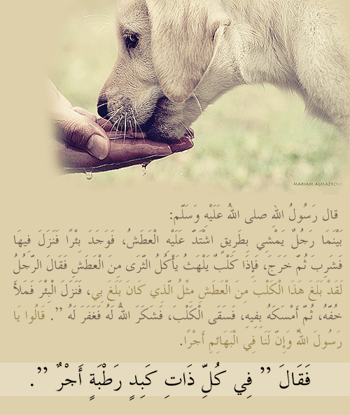 حديقة ملتقى الآحبة في الله الاسلامية - صفحة 7 Tumblr_mapzyy3Rx21rvb0spo2_500