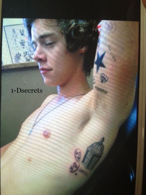 Directioner » Harry Styles - Página 27 Tumblr_mb1nh0uRwM1r3rmjqo1_500