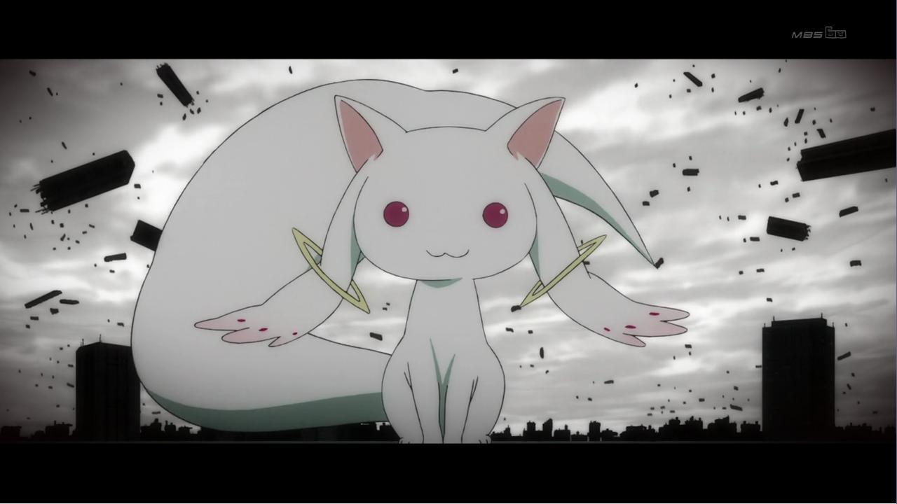 Begleiter Kyubey Tumblr_mbl8pjbgOe1rez2lfo1_1280