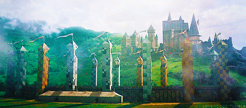 Les équipes de Quidditch Tumblr_mcb6skV6dq1rsliuoo1_500