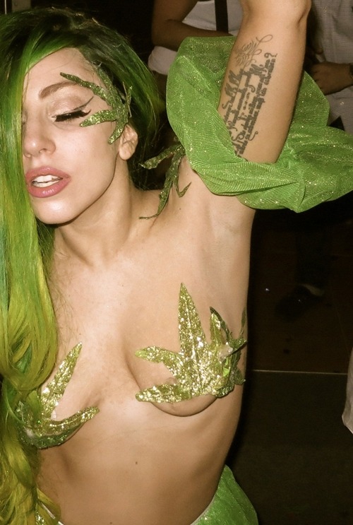 Lady Gaga - Page 9 Tumblr_mcu0q1CSsT1qeohouo1_500