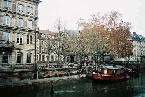 Strasbourg Tumblr_mcwsh8D4Vo1rxgkhoo1_500