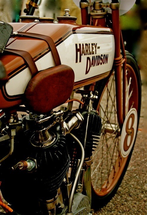 Najlepsi Motorcikli - Page 3 Tumblr_mdluvoOIWN1rsl5zso1_500
