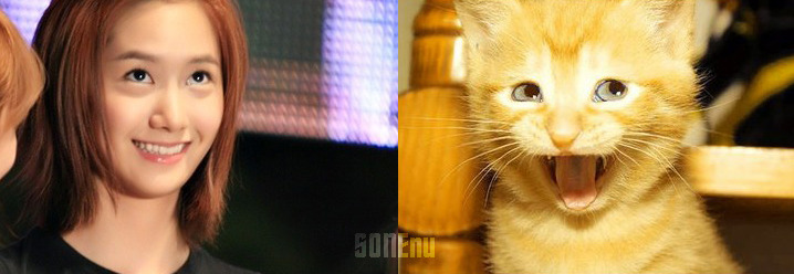 [RELAX] SNSD và mèo Tumblr_mdse4fYAK11rs43yzo1_1280