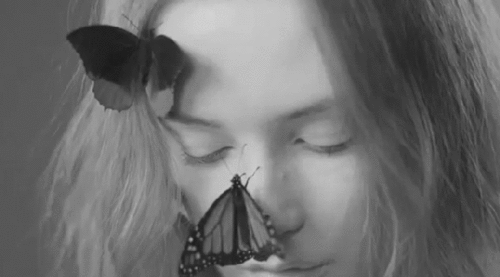 Deleting butterflies {Harry Styles} Tumblr_me31zbWJdI1r7luk5o1_500